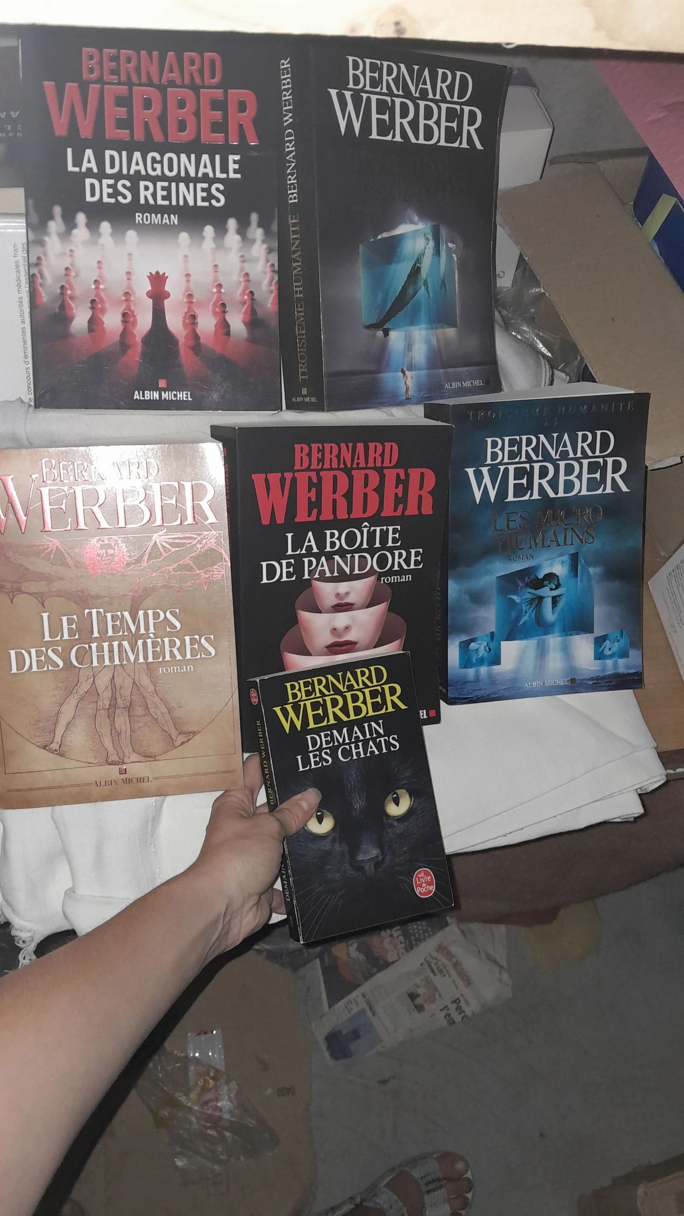 Magnifique lot B Werber